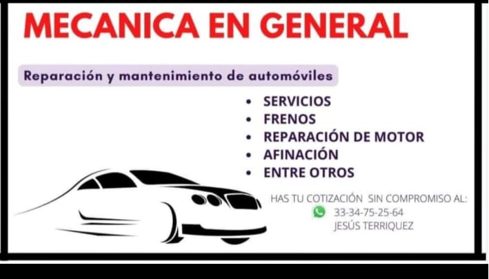 Mecanico Automotriz Profesional