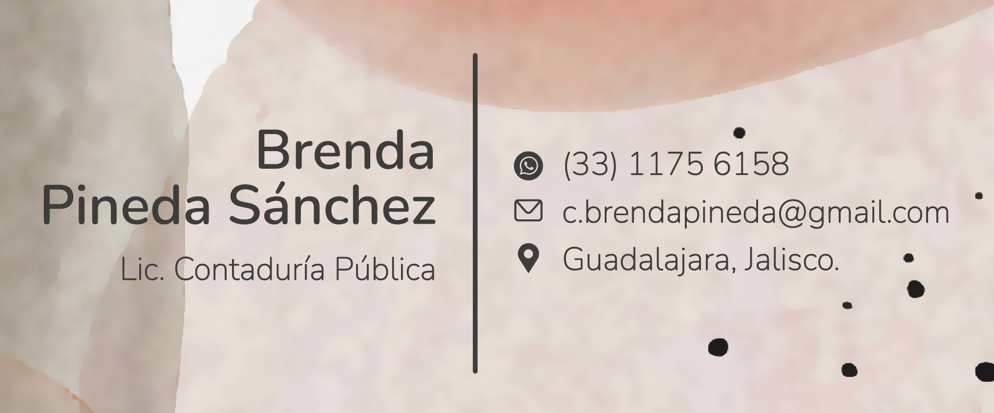 Contadora Publica / Asesora contable, administrativa y fiscal