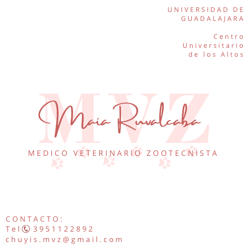 Medico Veterinario Zootecnista