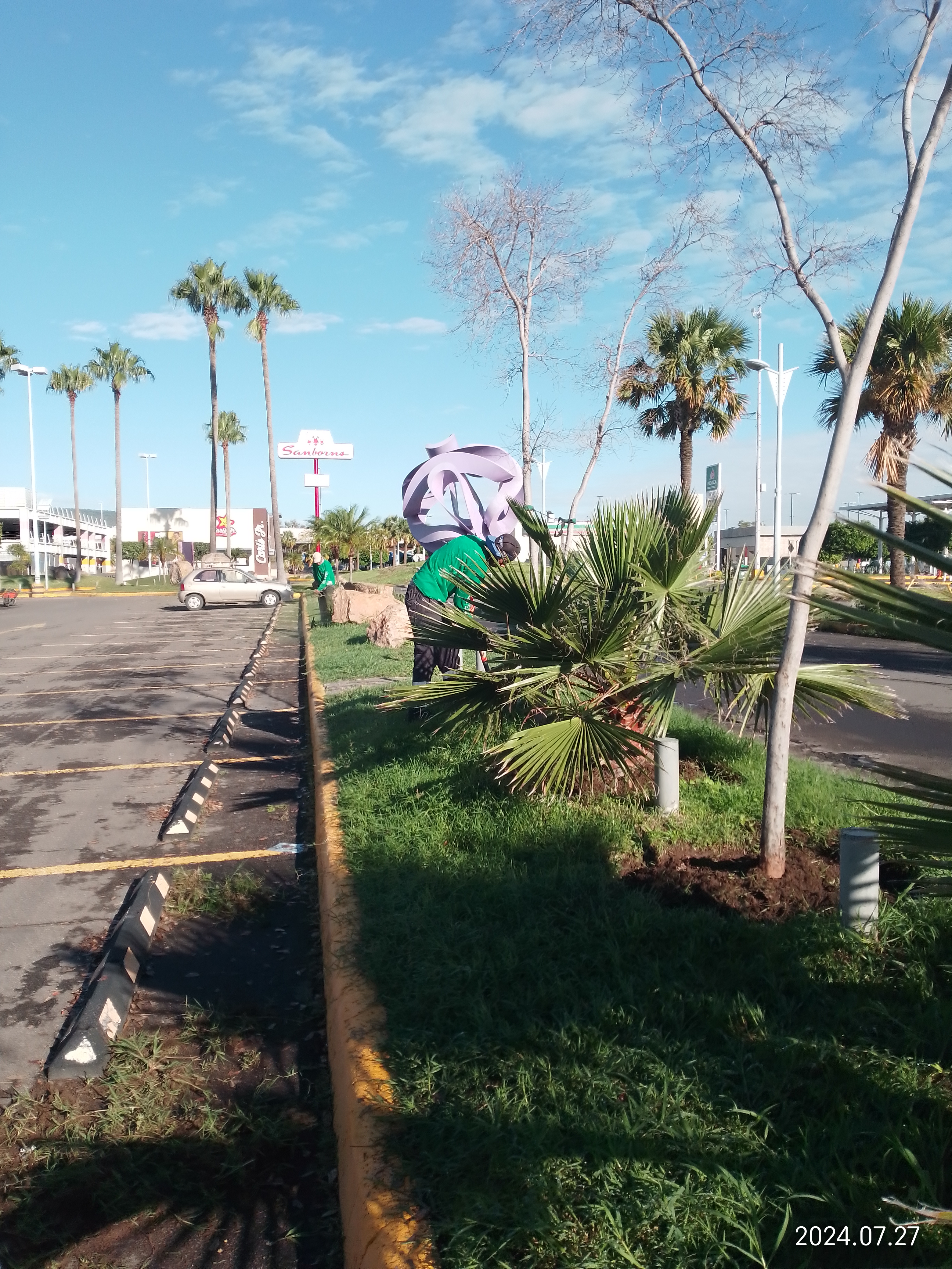 Paisajes y jardinería todo verde
