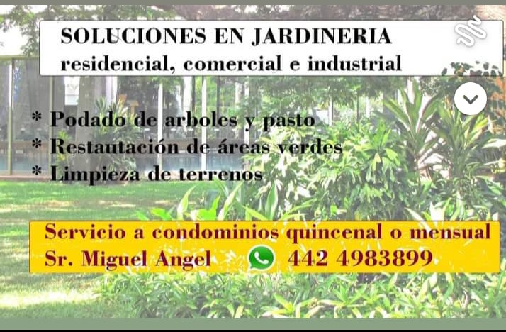 Servicio de jardinería 