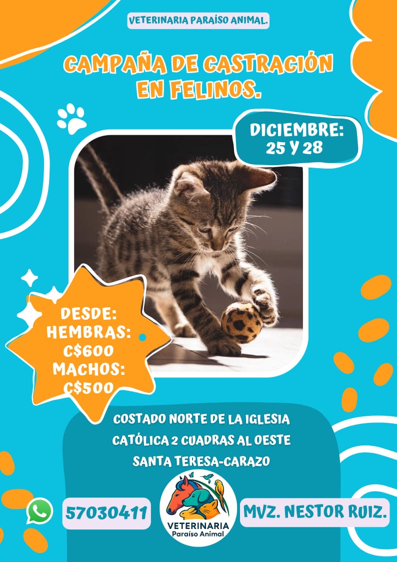 Servicios veterinario paraíso animal 