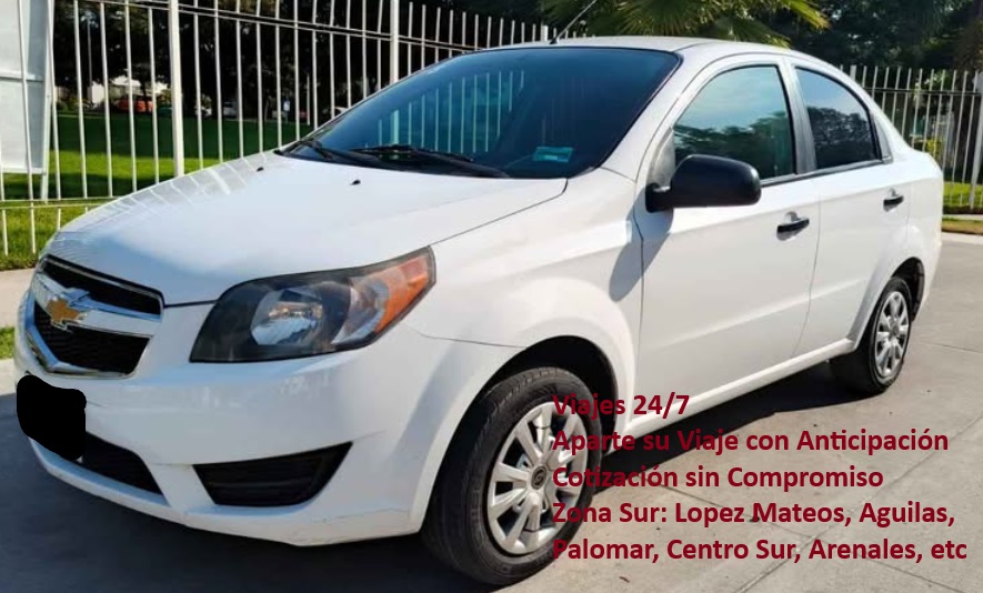 Servicio de Viaje de pasajeros, Seriedad, Seguridad y profesionalismo